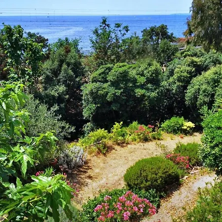 Riviera Near Cannes